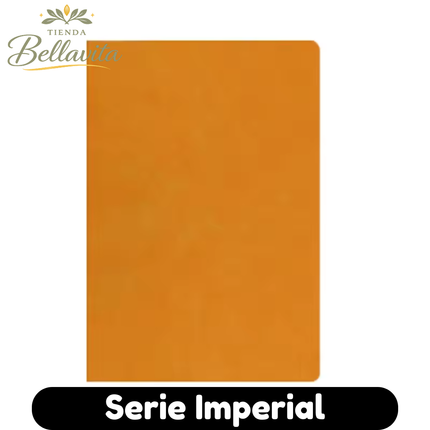 Serie Principal